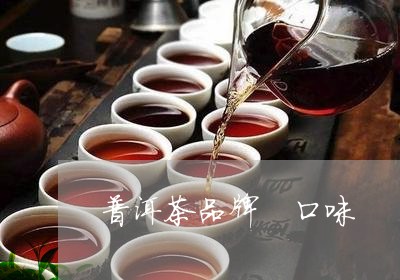 普洱茶品牌 口味/2023041188312